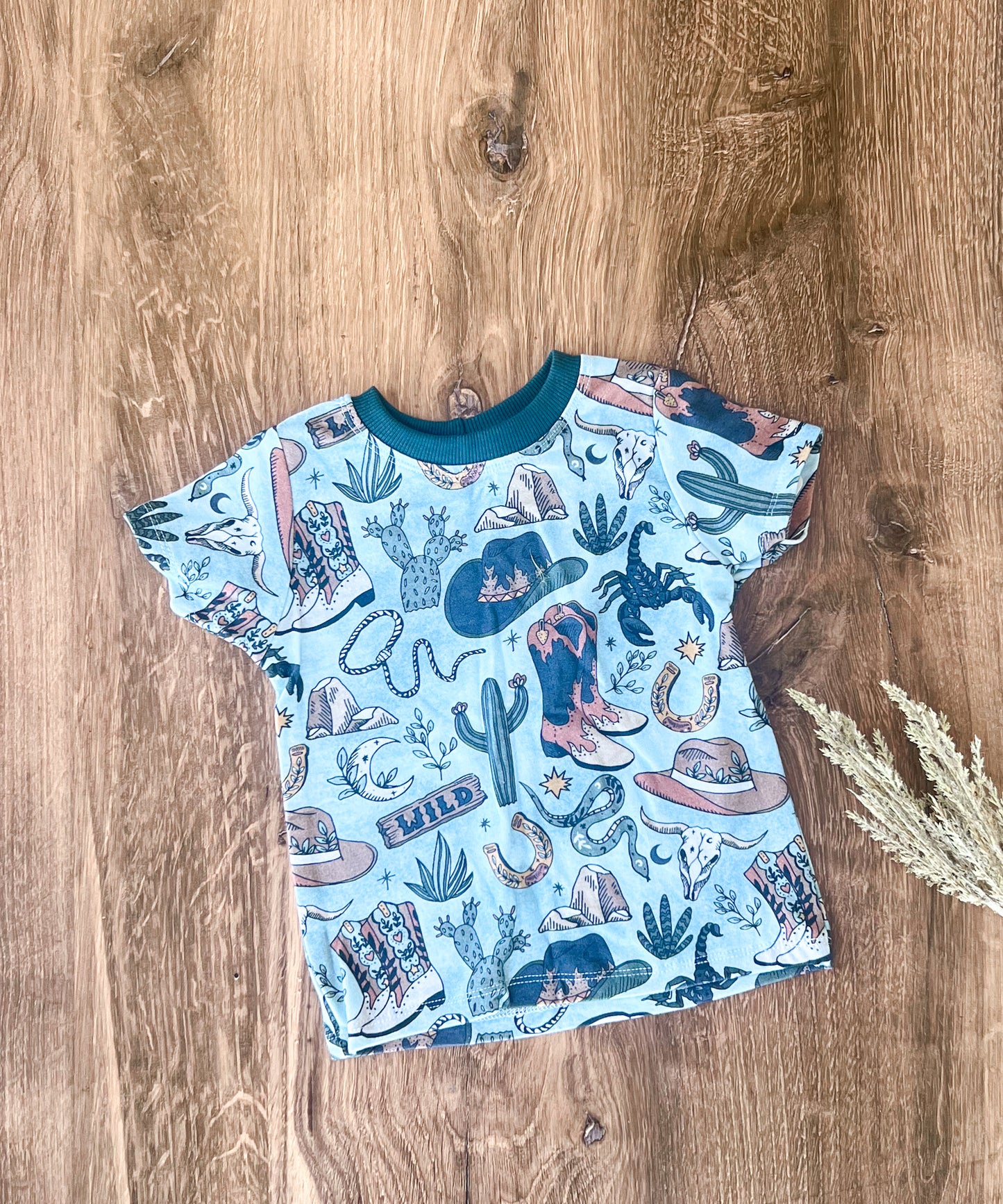12/18M, 2T, or 3T Wild West Jade Basic Tees