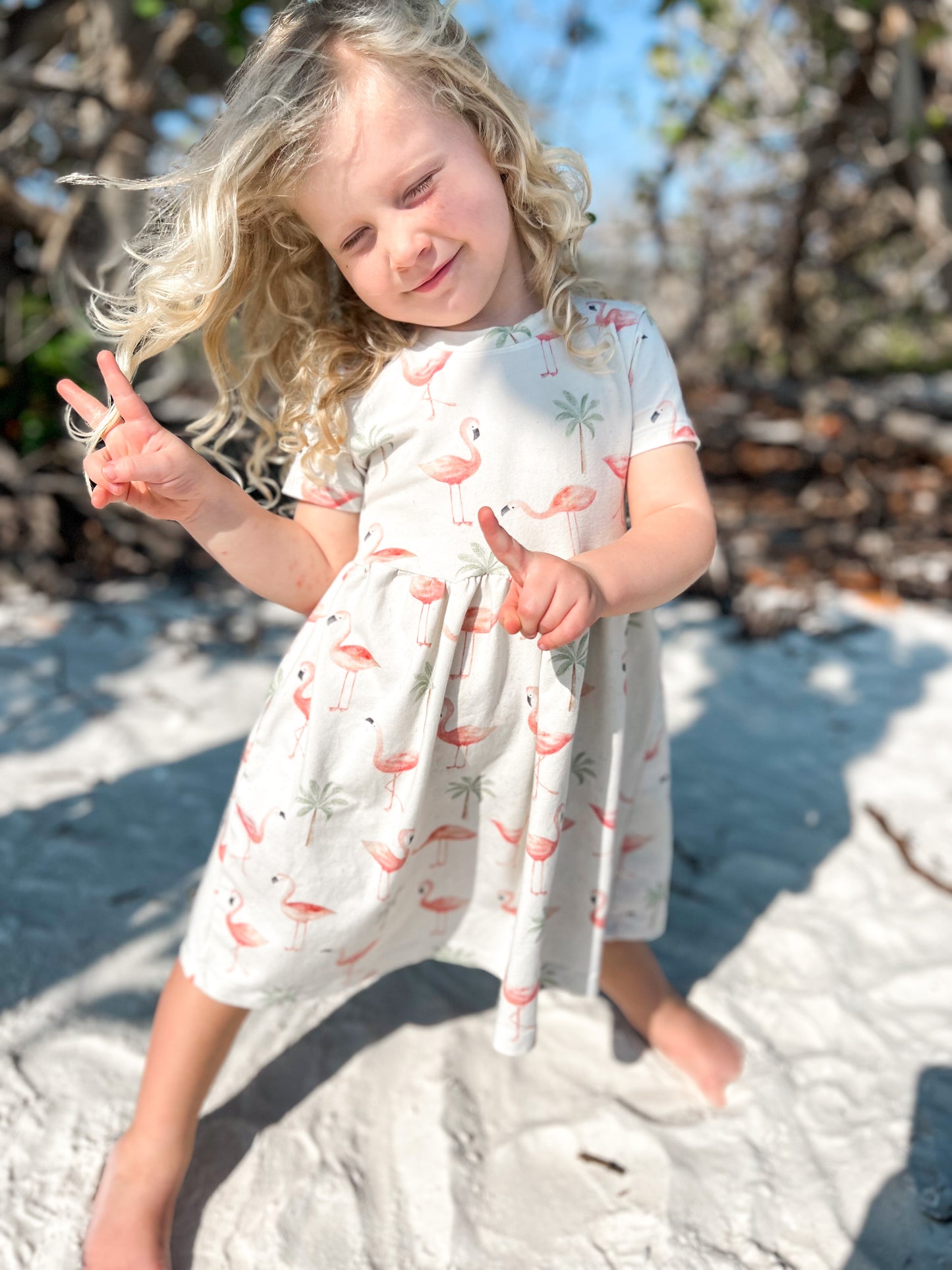 Organic American-Milled Merwin's Mingos Agusta Dress