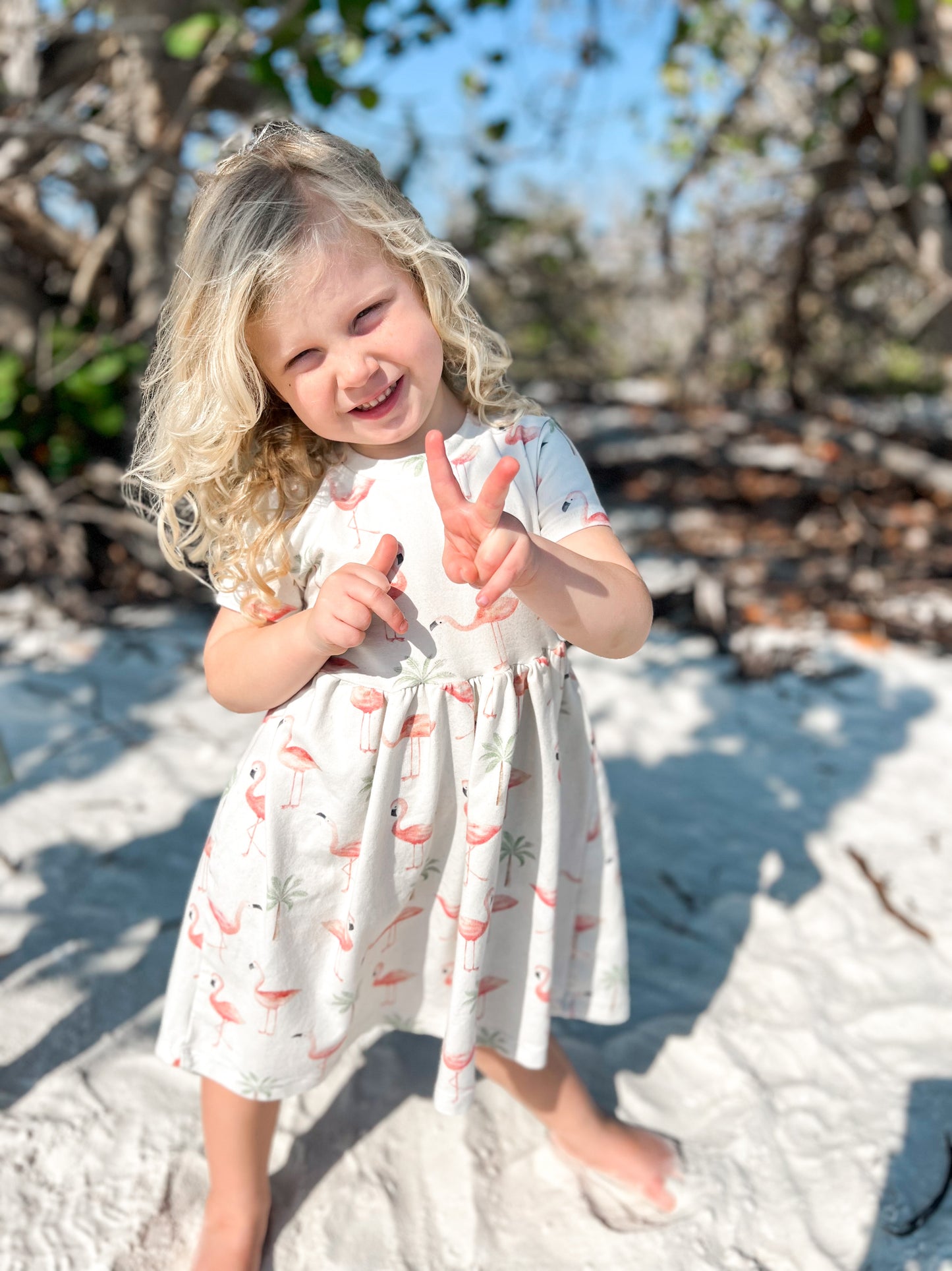 Organic American-Milled Merwin's Mingos Agusta Dress