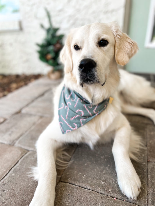 Holiday Reversible Pet Bandanas