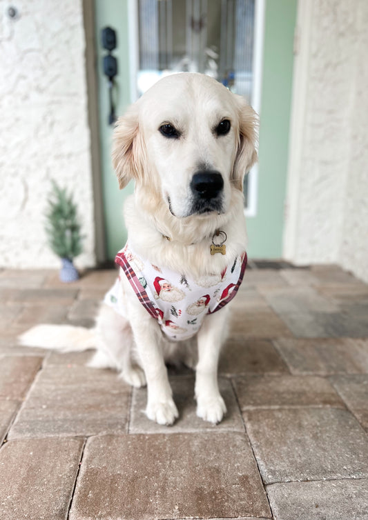 Holiday Pet Tees