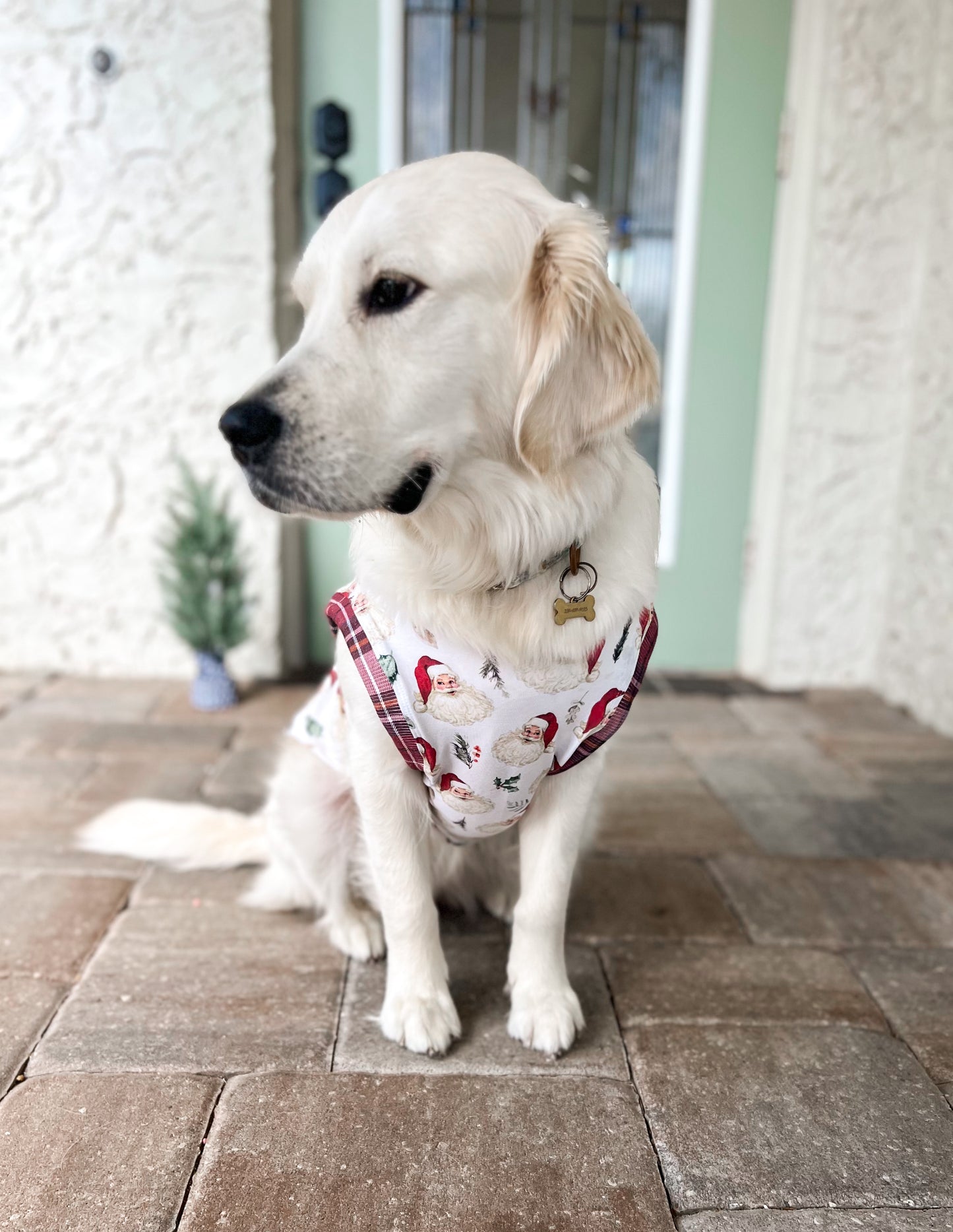 Holiday Pet Tees