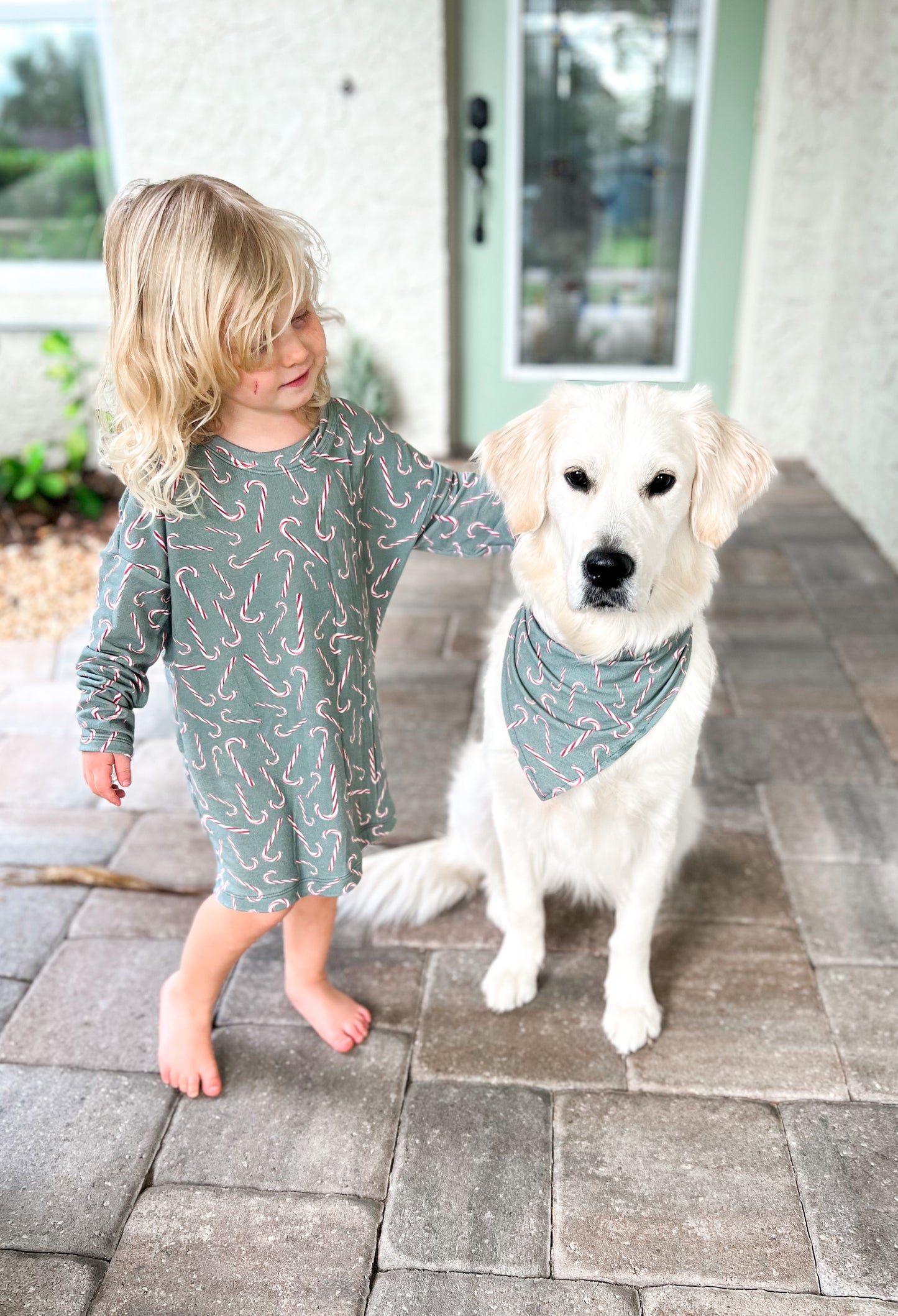 Holiday Reversible Pet Bandanas