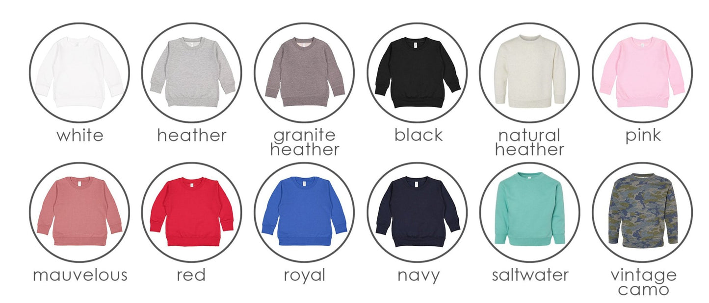 Mini Crewneck Sweatshirt (Toddler & Youth Sizes)