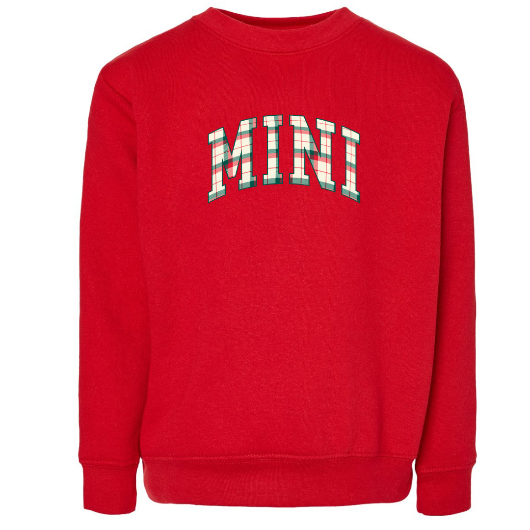 Mini Crewneck Sweatshirt (Toddler & Youth Sizes)